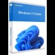 WINDOWS 11 HOME 64B DSP